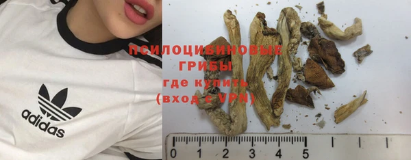 PSILOCYBIN Беломорск